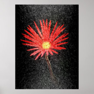 Röd Daisy på svart bakgrund Abstrakt Art Poster