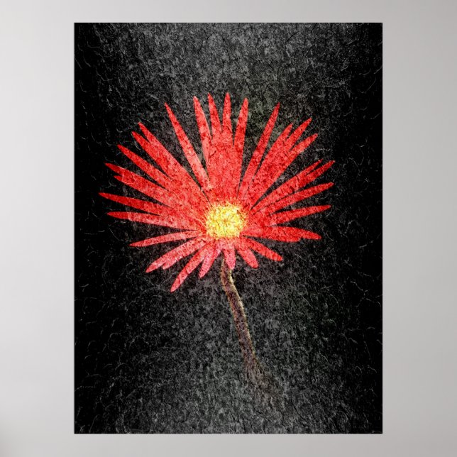 Röd Daisy på svart bakgrund | Abstrakt Art Poster (Framsidan)