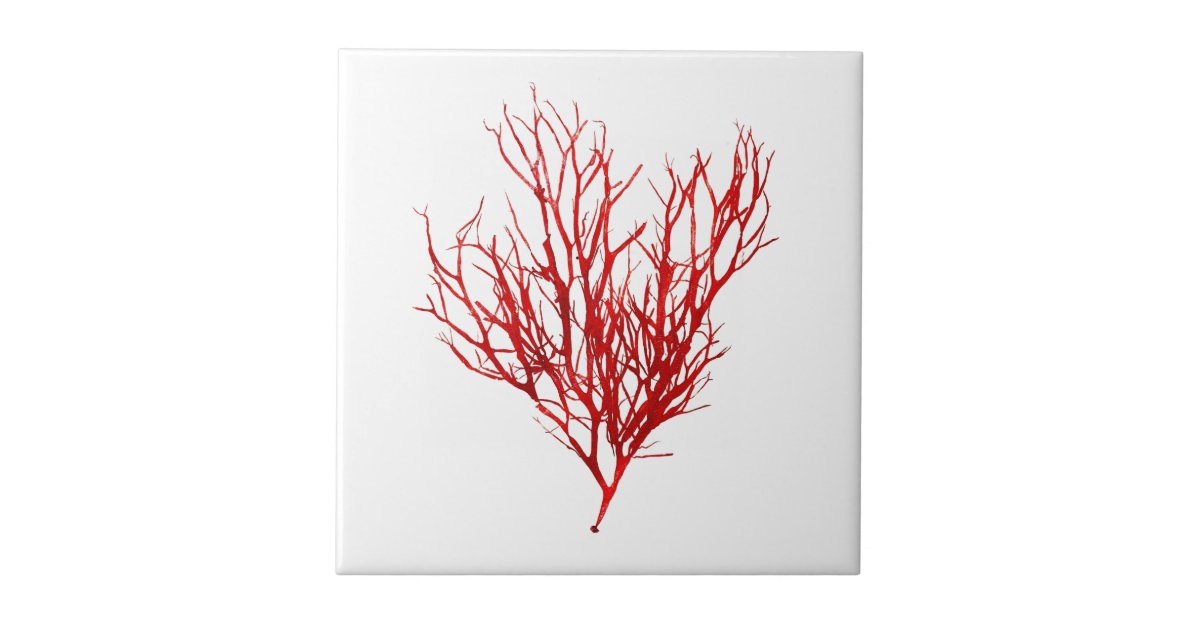 Get Strand tema kontor For iPhone