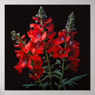 Röd delphinium Flower Art Print Poster