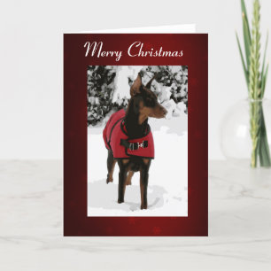 Röd Doberman i snöjulkortet (bandet v9-2) Helgkort