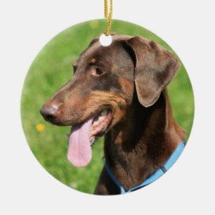 Röd doberman julgransprydnad keramik
