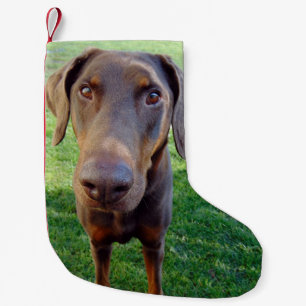 Röd doberman liten julstrumpa