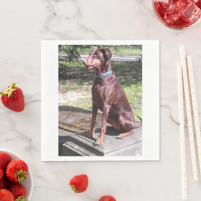röd doberman pappersservett (Insitu)