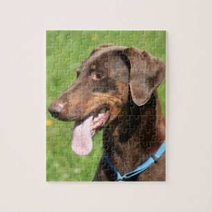 Röd doberman pussel