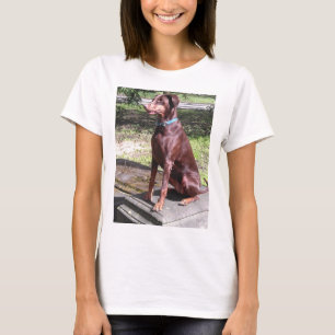 röd doberman tee shirt