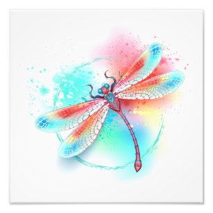 Röd dragonfly på vattenfärgsbakgrund fototryck