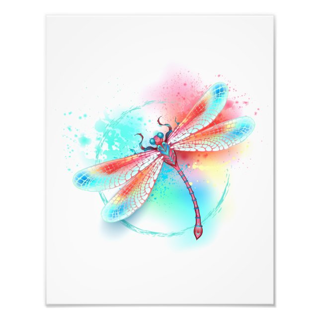 Röd dragonfly på vattenfärgsbakgrund fototryck (Framsidan)