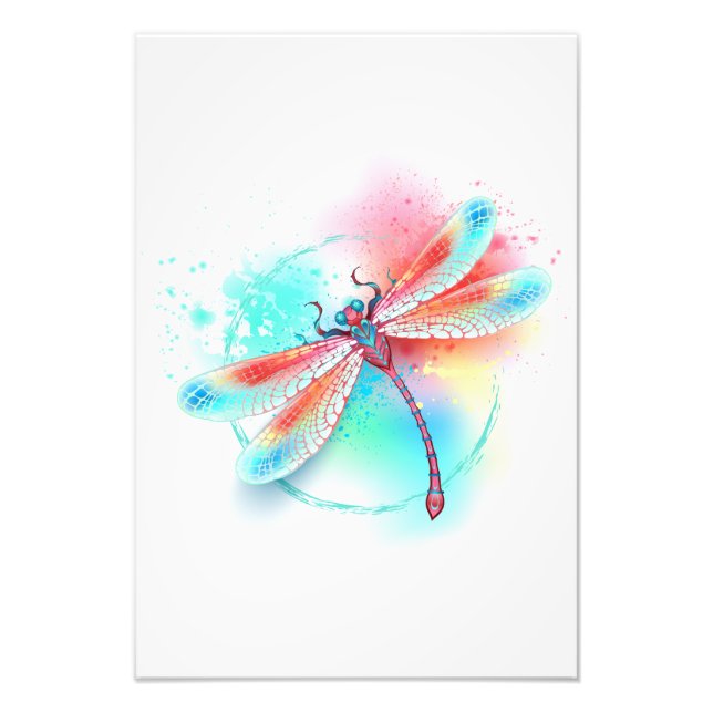 Röd dragonfly på vattenfärgsbakgrund fototryck (Framsidan)