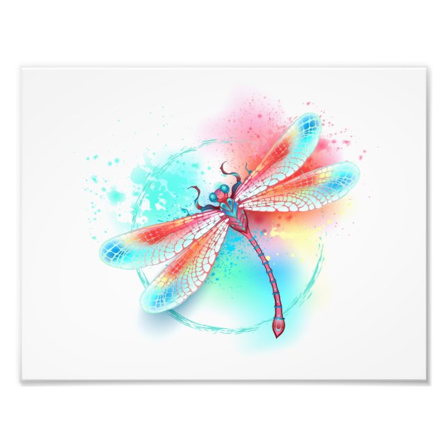 Röd dragonfly på vattenfärgsbakgrund fototryck (Framsidan)