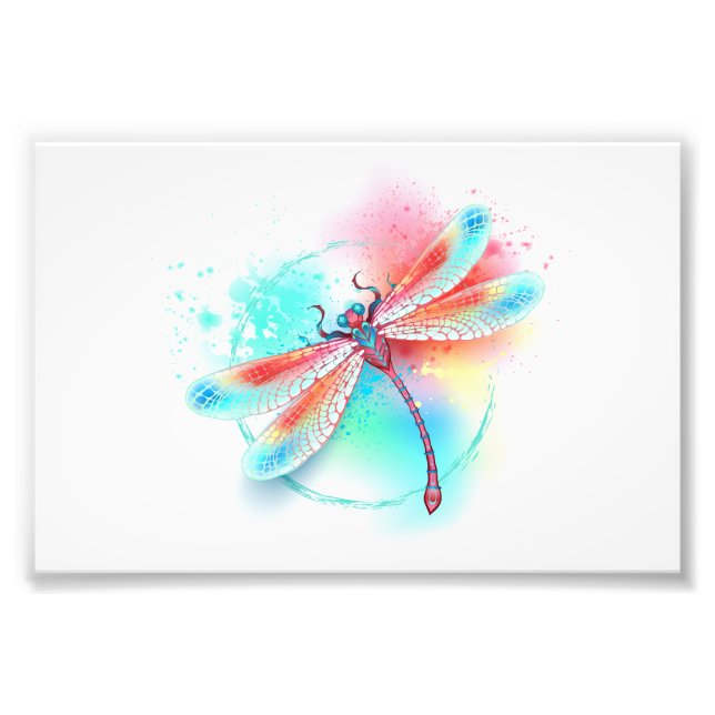 Röd dragonfly på vattenfärgsbakgrund fototryck (Framsidan)