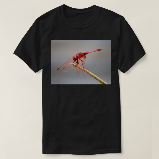 röd drakfluga 5 t shirt (Design framsida)