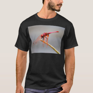 röd drakfluga 5 t shirt