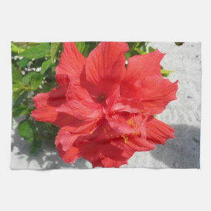 Röd dubbel hibiskusblomma kökshandduk