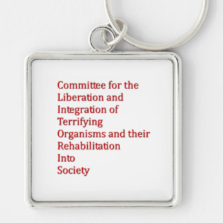 Röd dvärg fyrkantig silverfärgad nyckelring