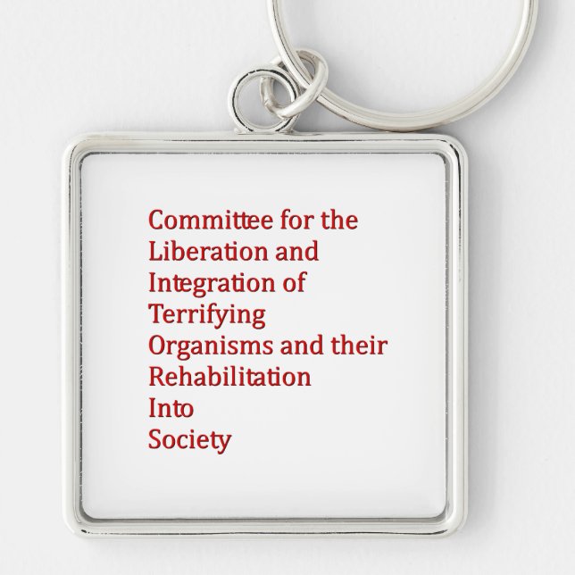 Röd dvärg fyrkantig silverfärgad nyckelring (Framsidan)