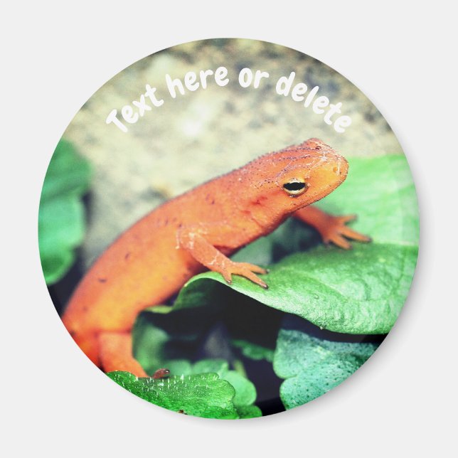 Röd Eft-Salamander Natur Personlig Magnet (Framsidan)