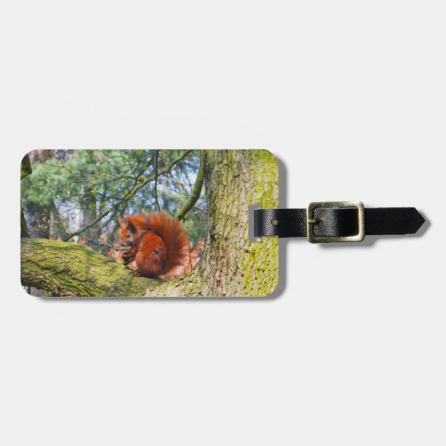 Röd ekorre i Köpenhamnen, Danmark Bagagebricka (Horisontell Framsida)