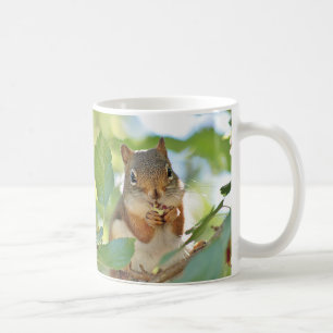Röd ekorre kaffemugg