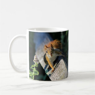 Röd ekorre kaffemugg