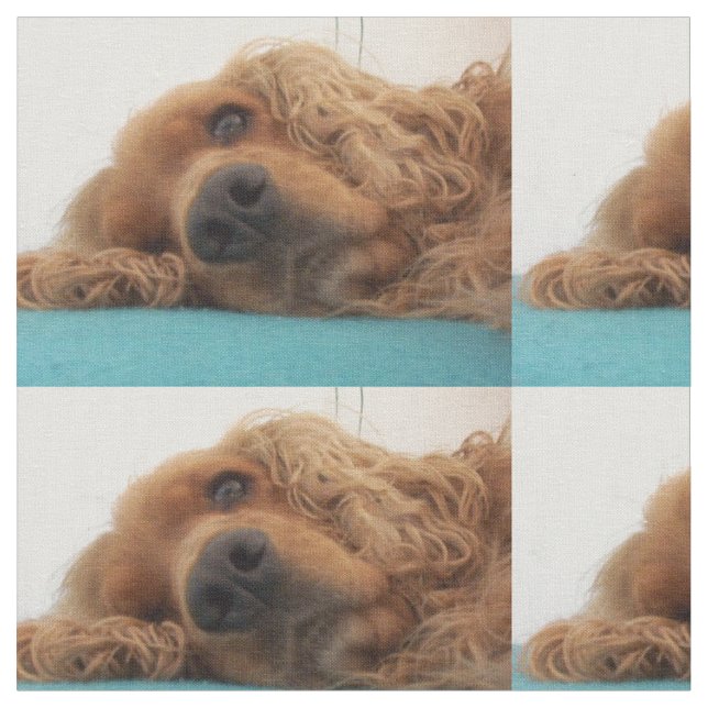 röd engelskacockerspanielspaniel 2.png tyg (Närbild)
