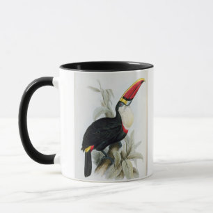 Röd-Fakturerade Toucan, från 'en Monograph av Mugg