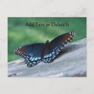 Röd-fläckad Lila Butterfly-vykort Vykort
