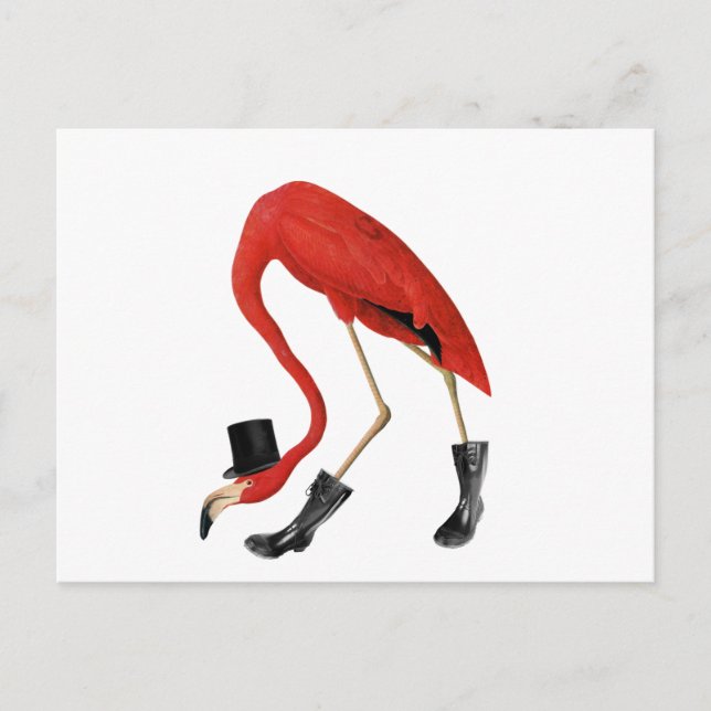 röd flamingo i hatten vykort (Framsida)