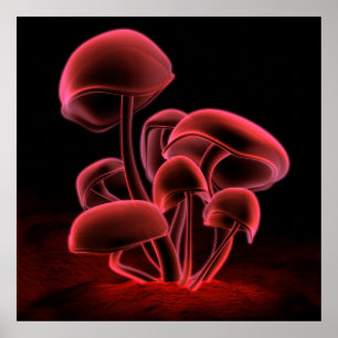 Röd Fluorescence (kvadrera), Poster