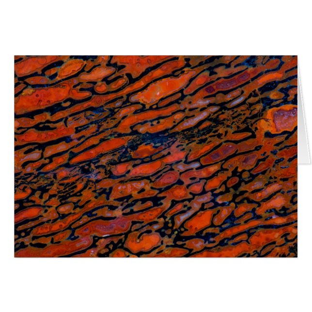 Röd förstenad dinosaurie-ben hälsningskort (Framsidan Horizontal)