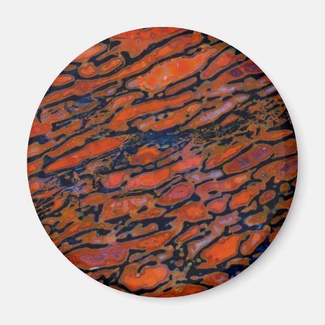 Röd förstenad dinosaurie-ben magnet (Framsidan)