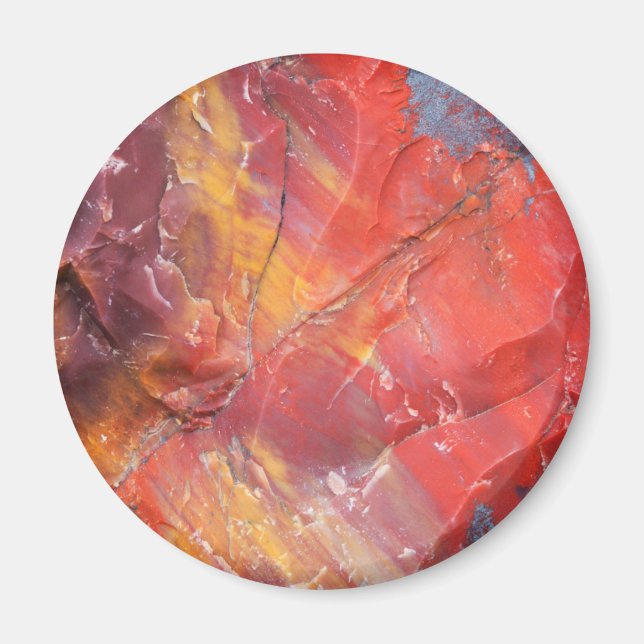 Röd förstenad trädetalj, Arizona Magnet (Framsidan)