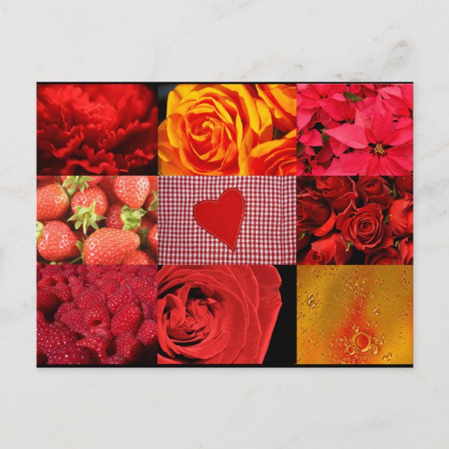 Röd fotografisamling vykort (Framsida)