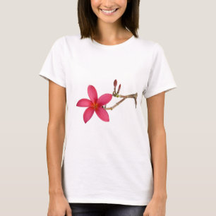 Röd Frangipaniblomma Tee