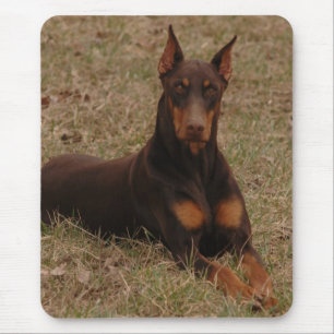 Röd full färg och rostar Dobermanpinscheren Musmatta