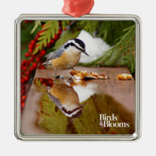 Röd-gådd mot Nuthatch Julgransprydnad Metall