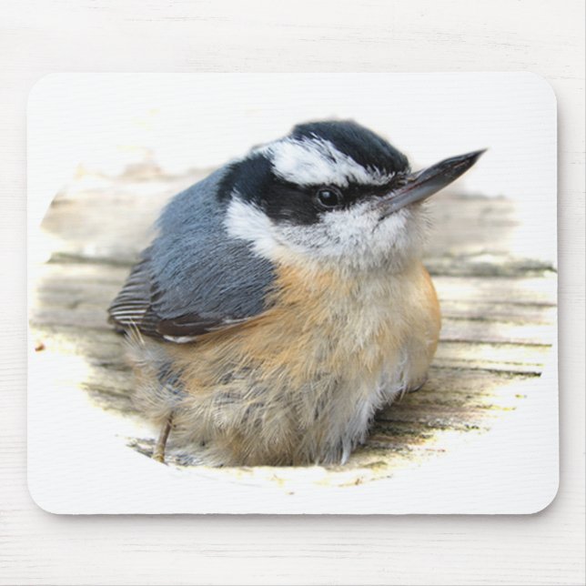 Röd-gådd mot Nuthatch Musmatta (Framsidan)