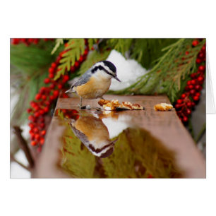 Röd-gådd mot Nuthatch OBS Kort