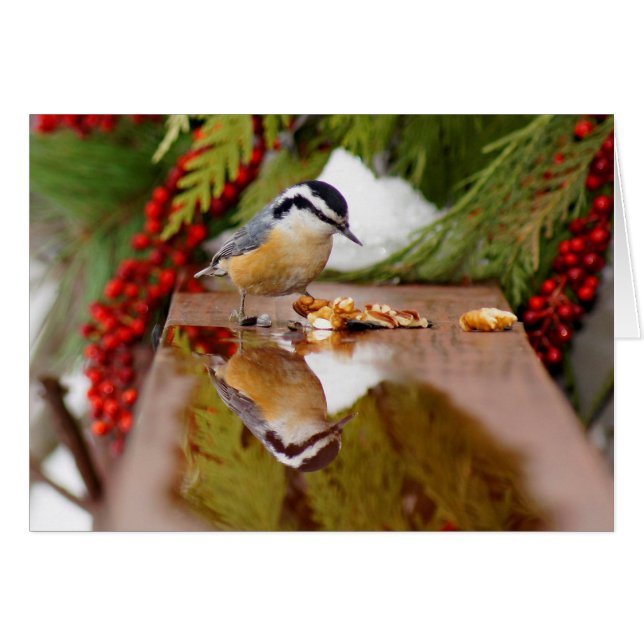 Röd-gådd mot Nuthatch OBS Kort (Framsidan Horizontal)