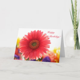 Röd Gerber Daisy Födelsedagshälsningskort Kort