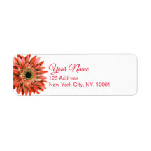 Röd Gerber Daisy Watercolor Calligraphy Return