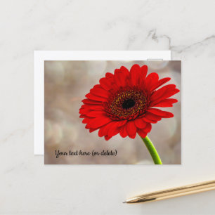 Röd Gerbera-brevkort Vykort