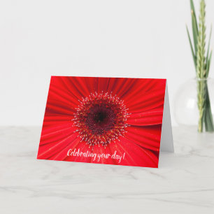 Röd Gerbera-Daisy på födelsedagen Kort