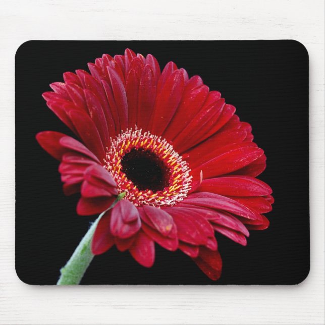Röd Gerbera Mousepad Musmatta (Framsidan)