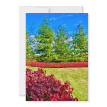 Röd & Grön Julkort