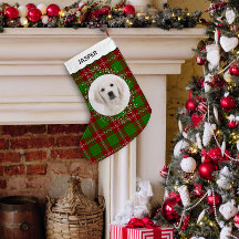 Röd Grön Tartan Randig Vinterkrans Husdjur Hund Fo