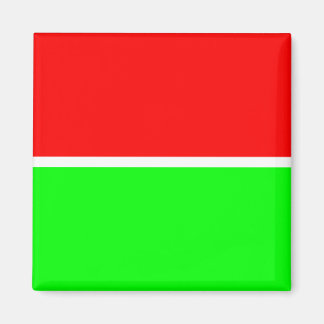 Röd Grönt 001 magnet