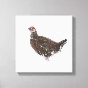 Röd grouse canvastryck
