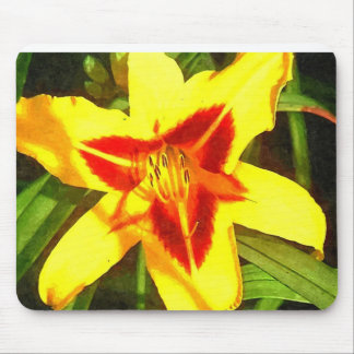 Röd & gul Daylilyblomma Mousepad Musmatta
