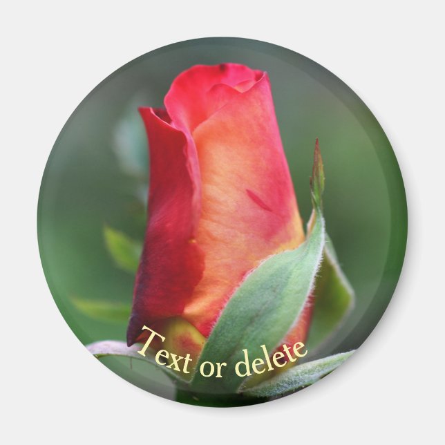 Röd Gul Rosett Blomma Personlig Magnet (Framsidan)